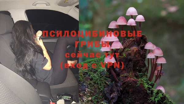 а пвп мука Беломорск