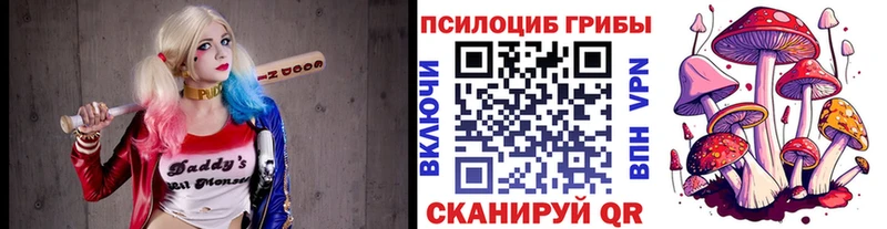 Псилоцибиновые грибы MAGIC MUSHROOMS  закладки  Мариинский Посад 
